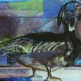 2023, Foto vom Original überarbeitet im Kartenformat,14,7x21, Acryl, Pastell, Seide, Foto Karte 24 "Ente"