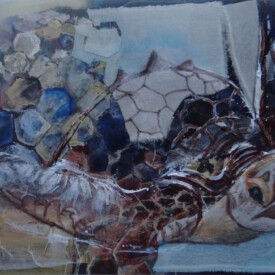 2023, Foto vom Original überarbeitet im Kartenformat,14,7x21, Acryl, Pastell, Seide, Foto Karte 014 "Schildkröte"