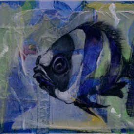 2023, Foto vom Original überarbeitet im Kartenformat,14,7x21, Acryl, Pastell, Seide, Foto Karte 015 " Fisch"